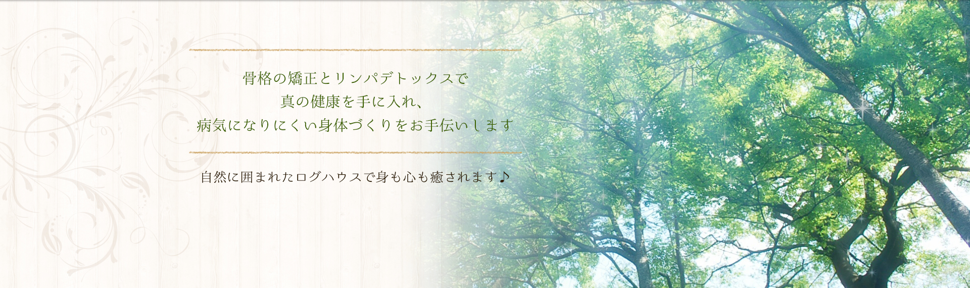 骨格の矯正とリンパデトックスで真の健康を手に入れ、病気になりにくい身体づくりをお手伝いします 自然に囲まれたログハウスで身も心も癒されます